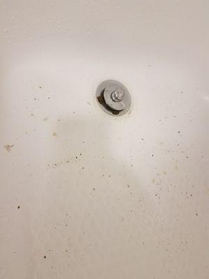 Raw sewage in tub.