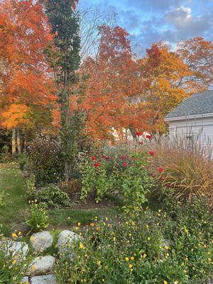 Beautiful garden outside the Hichborn on a perfect fall day