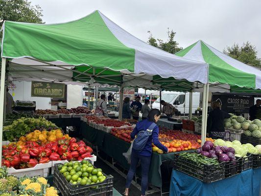 Farm fresh Vegetables