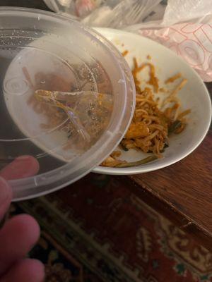 Plastic in Pad Thai with Tofu