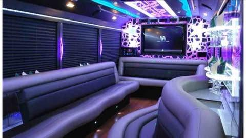 17 passenger Luxury Bus