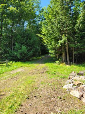 This i is the original driveway we had for 20 years - you can easily see it is an absolute mess....