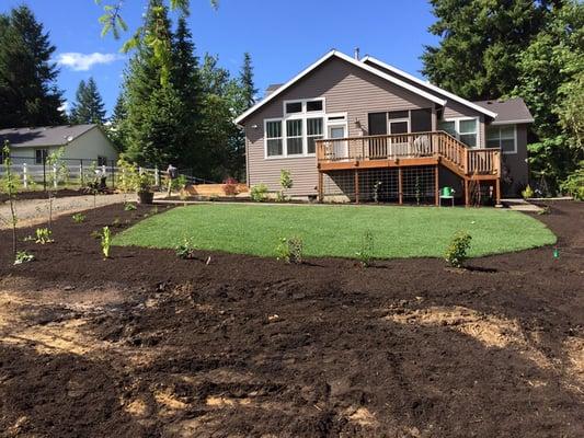 New lawn and landscape.