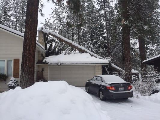 Tree removal. Tree on home. Tree damage to home.