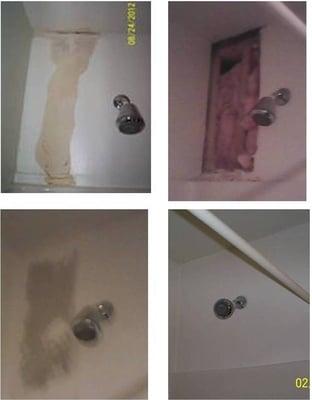 Shower damage, minor shhetrock repair