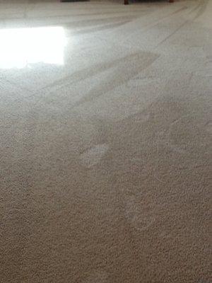 now that's a clean carpet