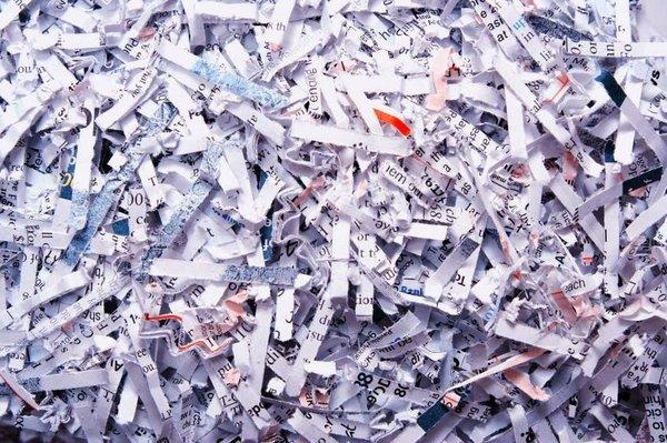 Shredded paper bits