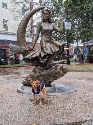 Cute dog may not be present upon your visit