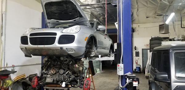 Porsche Cayenne