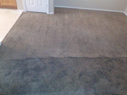 Half clean, half dirty carpet