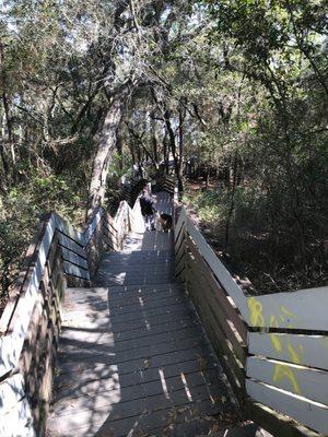 This is great little walking area that leads to train tracks and just on the other side is the beach!