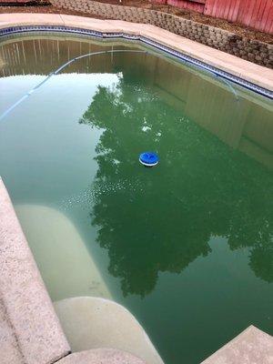 My pool after the "full service"