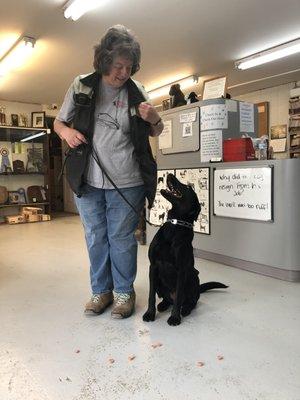 Training on the "Leave It" command