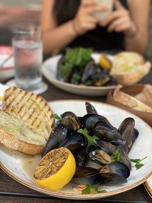 Mussels