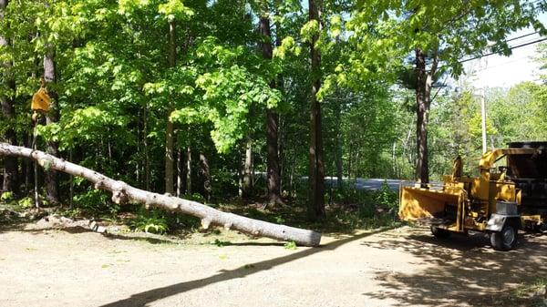 Stump Grinding Kittery, ME