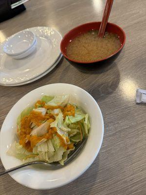 Salad and miso soup