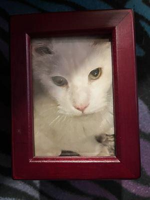 This is my Special Angel and the box that they gave me to put him in