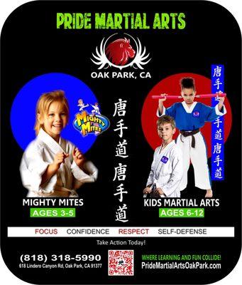 Karate and Martial arts lessons for Kids