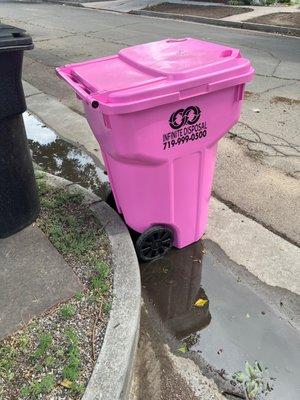 PINK TRASH CAN!!!! I love her