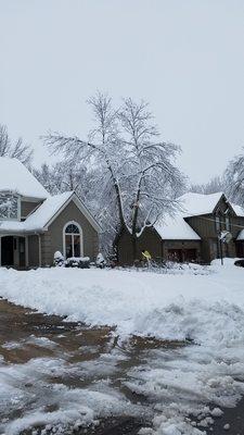 Emergency Tree Care & Storm Response