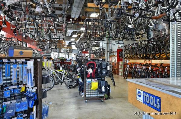 A ton of bikes festooning the walls and ceiling.