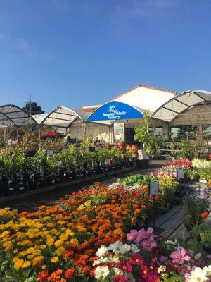 SummerWinds Nursery - Cupertino