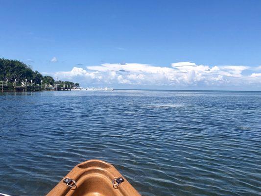 Beautiful day kayaking in Marathon, FL :)