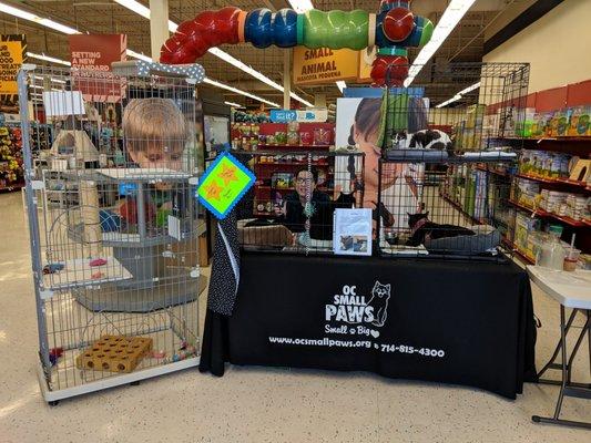 Adoption event at Petco in the Cerritos Towne Center