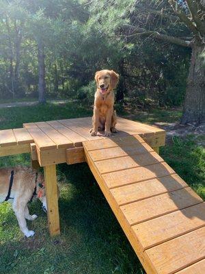 Part of the wooden structures play area