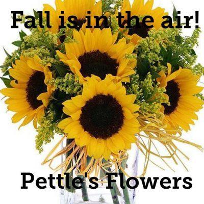 Pettle's Flowers