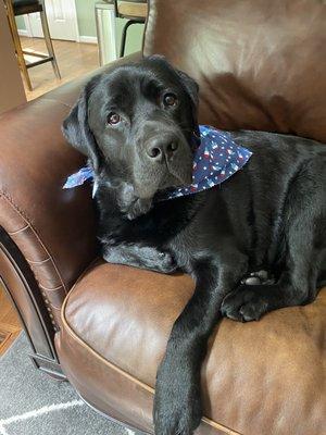 They always send home after boarding with a bandana. This is after 4th of July.