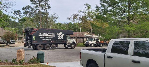 Yellowstone Tree Care