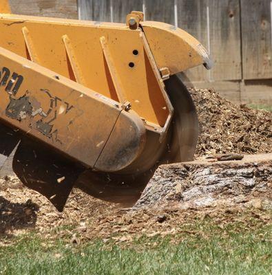 Stump Grinding