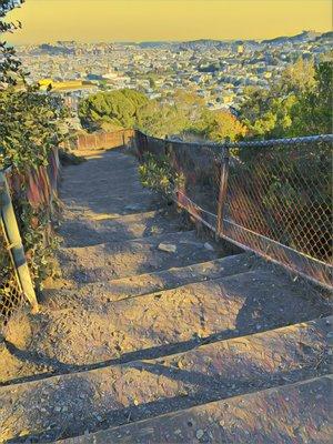 Corona Heights Park