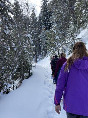 Guided snow shoe hike