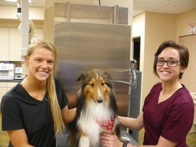 The ladies are happy but Chip says get me off this table.