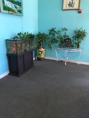 The cute waiting room. The pothos really likes its area and the gold fish are huge. Cute water wheel.