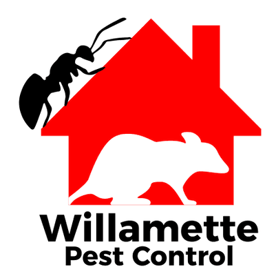 #1 Pest Control in Salem area