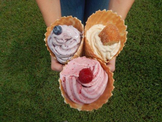 Blueberry, raspberry and cider donut ice cream!