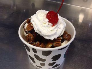 Turtle Specialty Sundae