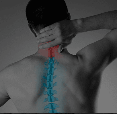 Chiropractors and Physical Therapists
in Totowa, NJ