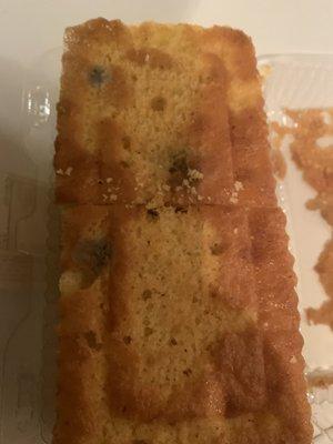 Moldy cornbread