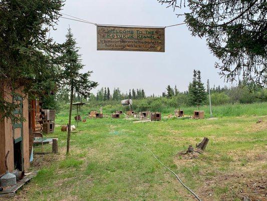 The Lodge keeps 18 sled dogs on the grounds, who run in the snowy winter times.