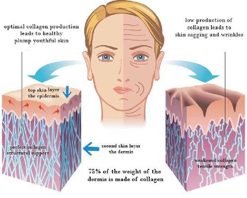 Best explanation why skincare treatment is so important for the youthfulness of skin.