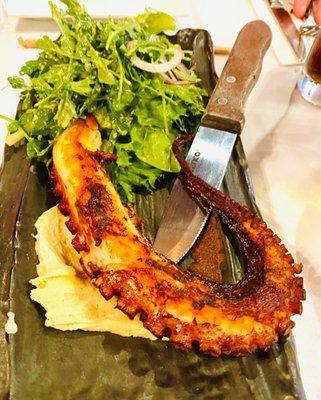 Grilled Octopus