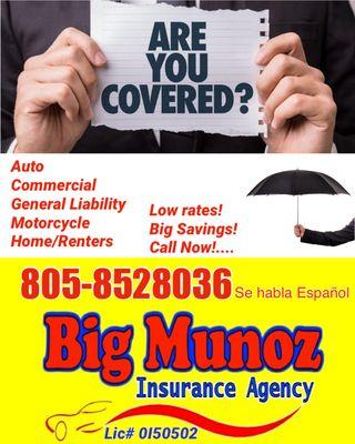 Big Munoz Insurance Agency