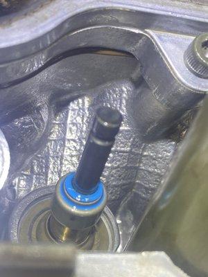 close up of installed blue viton seals