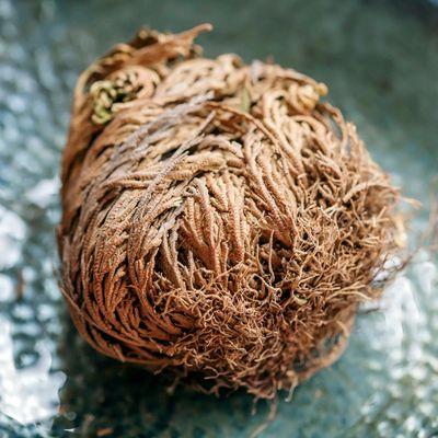 Rose of Jericho