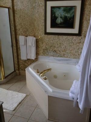 Renaissance Bathroom