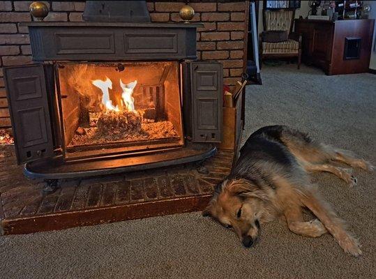 Wood burning stove